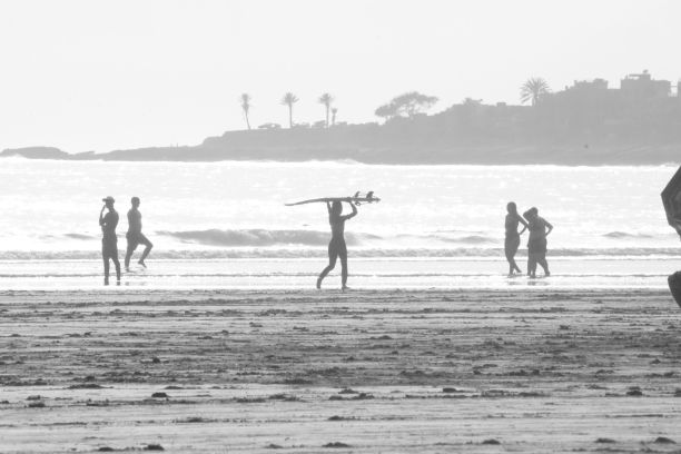 人们在沙滩上享受一天，在水里玩耍的灰度照片。图片下载