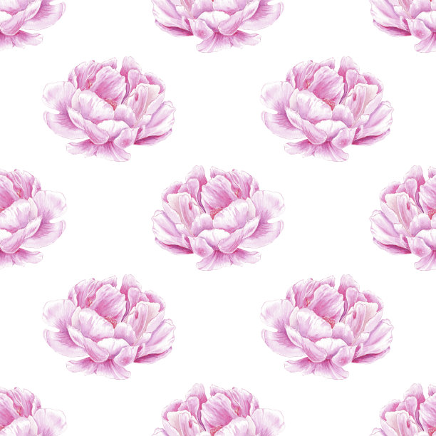 水彩无缝图案牡丹手绘植物风格用于纺织品，婚礼包装，假日和自然设计请柬。雏菊花装饰卡片，壁纸，织物图片下载