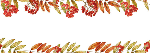 秋季水彩隔离无缝框架玫瑰色白色背景。季节性的秋季元素。感恩节，万圣节的设计师插图，婚礼，剪贴簿图片下载