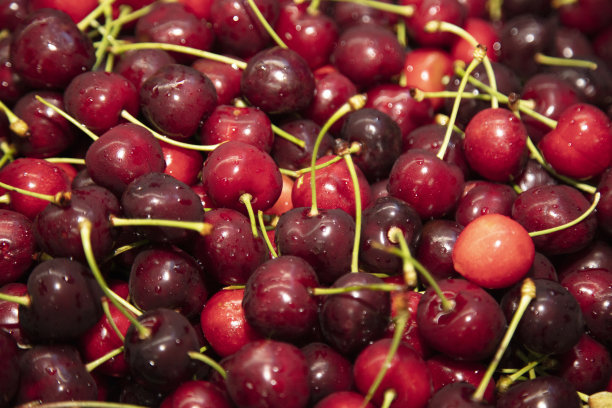 一堆新鲜的樱桃图片下载