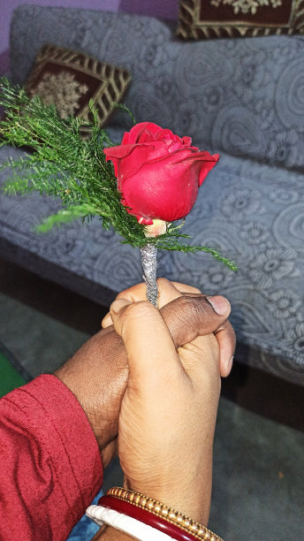 印度夫妇手持红玫瑰…图片下载