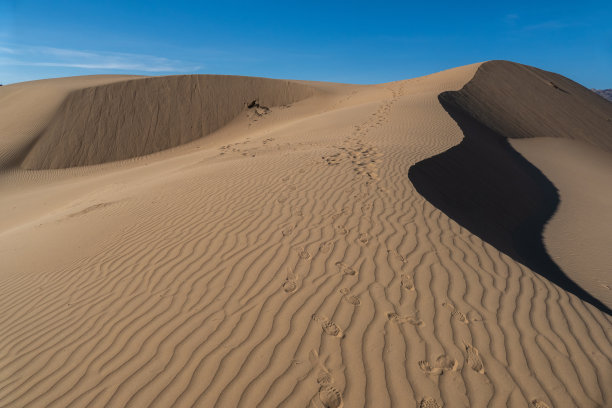 Elsen Tasarkhai或迷你戈壁，蒙古中部图片下载