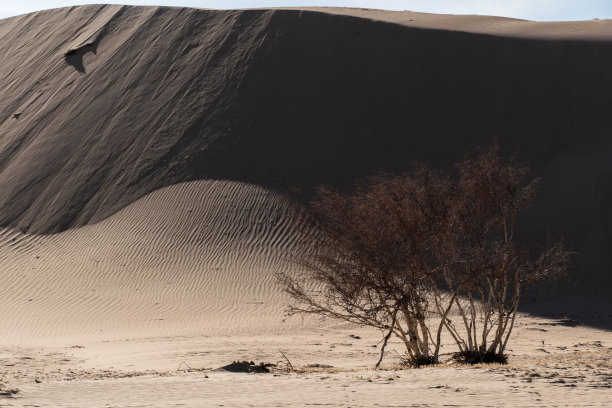 Elsen Tasarkhai或迷你戈壁，蒙古中部图片下载