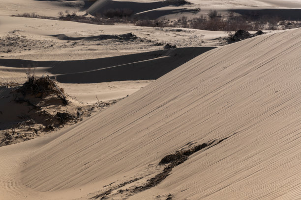 Elsen Tasarkhai或迷你戈壁，蒙古中部图片下载
