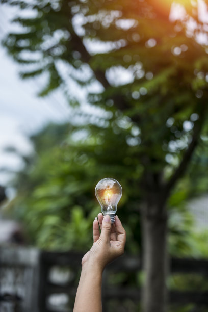 灯泡对抗自然，图标图片下载