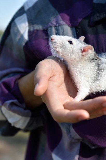一个年轻女人在外面抓老鼠图片下载