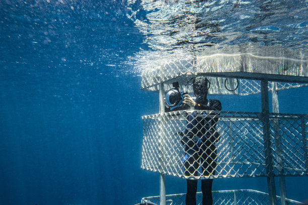 单身男摄影师在水下的鲨鱼笼子里等着给鲨鱼拍照图片下载