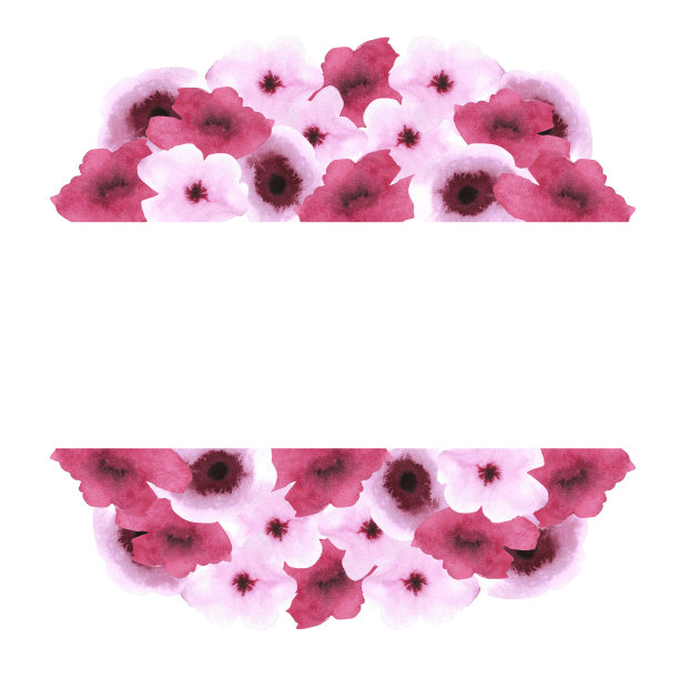 手绘酒红色水彩抽象罂粟花框架板隔离在白色。可用于明信片、请柬、横幅。图片下载