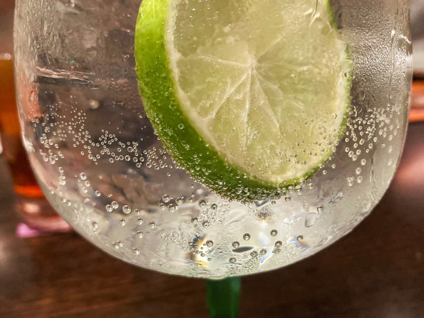 夏季冷酒精饮料，柠檬片和水泡沫在透明玻璃杯。图片下载