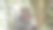 一只非常可爱的红脸猴子坐在树林里图片下载