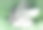 特写垃圾桶，装满药物的垃圾桶。采购产品药丸，片剂瓶，空胶囊。医疗浪费，补足消费观念。药店水平面图片下载