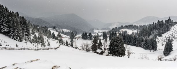 冬季景观以白雪覆盖的山丘和冷杉林树木为特色图片下载