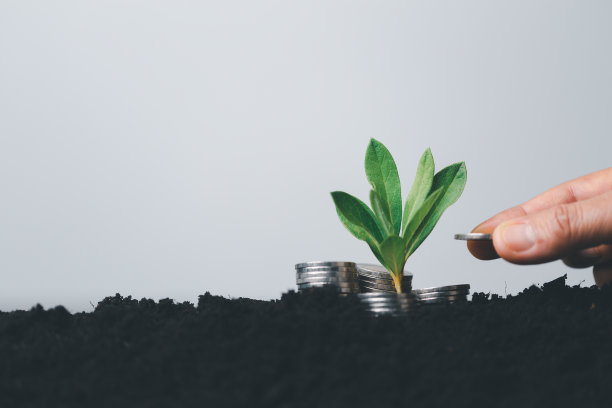 硬币树生长与土壤背景。货币植物金融投资理念成功。一棵手持的硬币树象征着商业增长和生态商业在自然中种植金钱。图片下载