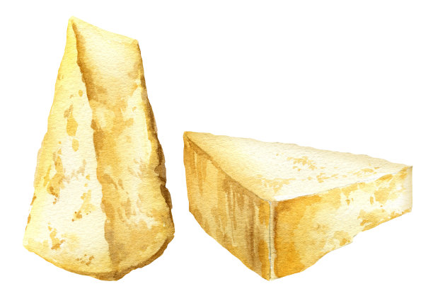 水彩帕玛森奶酪片，一套意大利经典美食，手绘插图乳制品孤立在白色背景，意大利食品，图片为菜单图片下载