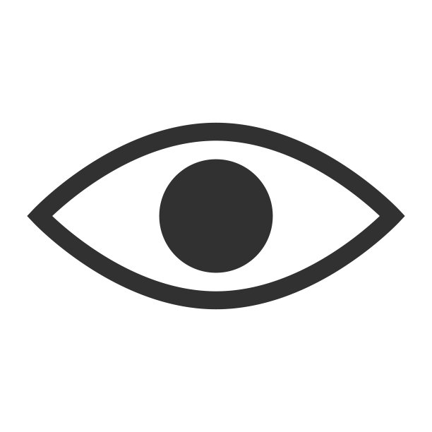 简单的眼睛图标。看图标。向量。图片下载