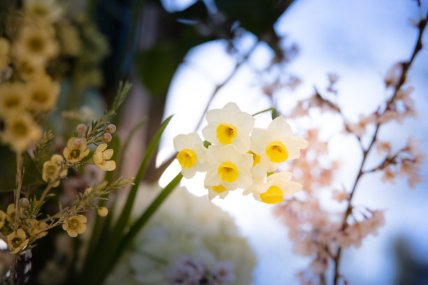 鲜花仪式设计安排玫瑰蜡烛蜡烛蛋糕美丽的事件事件招待会鲜花鲜花新娘银器盘子桌子婚礼结婚夫妇订婚向日葵中心装饰拱门散景椅子植物花园自然灯花束图片下载