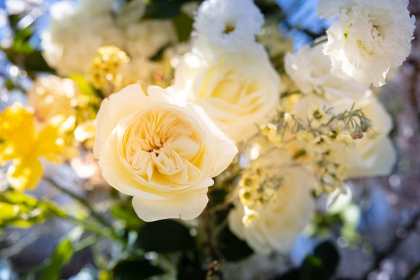 鲜花仪式设计：玫瑰、蜡烛、蛋糕等婚礼装饰图片下载