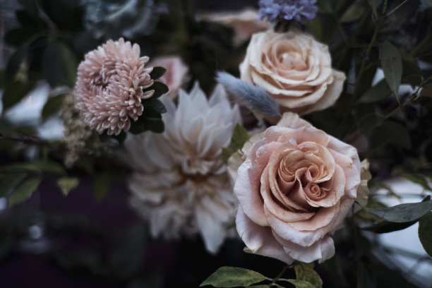 鲜花仪式设计安排玫瑰蜡烛蜡烛蛋糕美丽的事件事件招待会鲜花鲜花新娘银器盘子桌子婚礼结婚夫妇订婚向日葵中心装饰拱门散景椅子植物花园自然灯花束图片下载