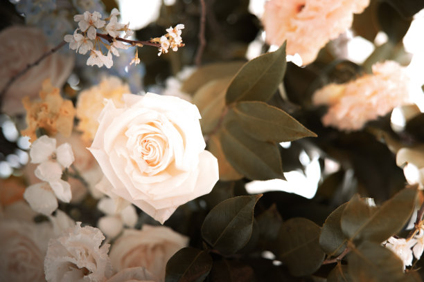 鲜花仪式设计：玫瑰、蜡烛、蛋糕等婚礼装饰图片下载