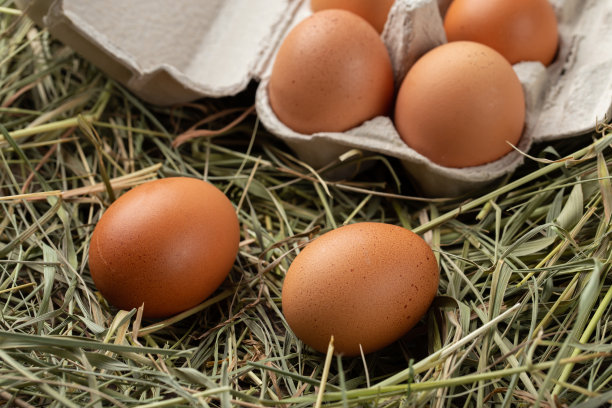 自制的鸡蛋放在吸管上的纸板托盘里。图片下载