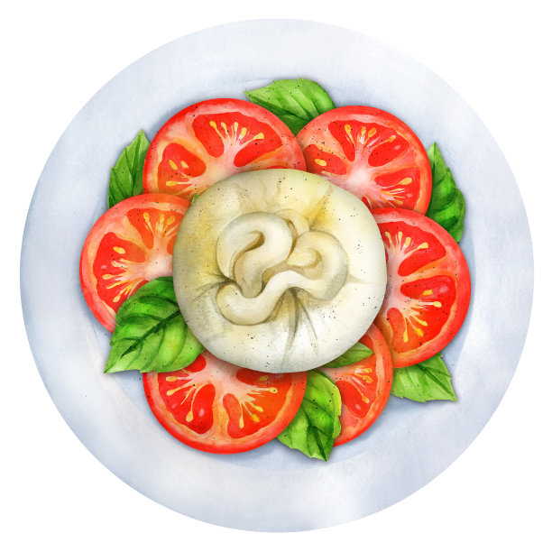 西红柿色拉。水彩插图图片下载