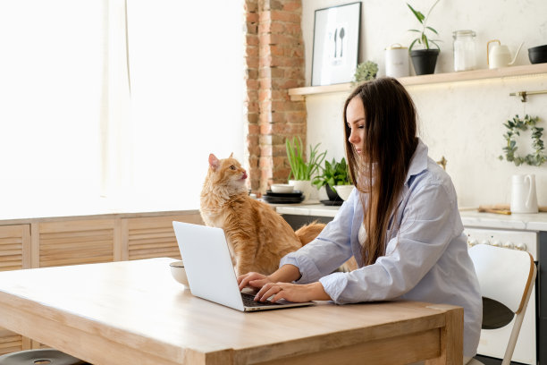 年轻的孕妇自由职业者在家用笔记本电脑工作。在家庭办公室厨房与宠物一起在线工作或学习。图片下载