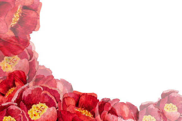 水彩插图的框架和卡片牡丹薄叶在一个白色的背景图片下载
