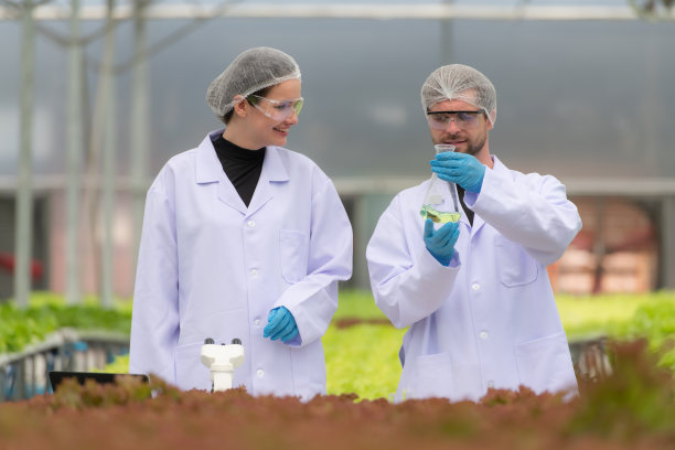 科学家们正在一个封闭的农场里进行有机蔬菜种植的研究和开发。图片下载