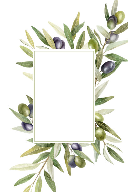 橄榄枝，树叶和果实。橄榄树树枝编成的花环。水彩手绘插图。用于菜单，包装设计，婚礼请柬，保存日期或贺卡。图片下载