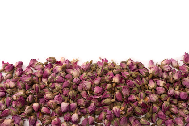 在白色背景上孤立的干茶蔷薇。图片下载