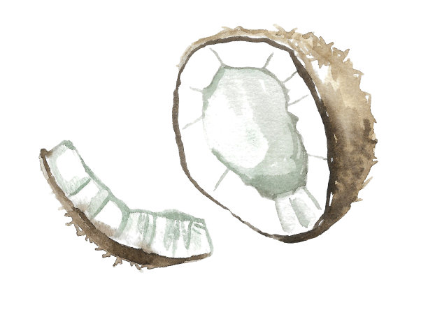 半个带壳的椰子，白色的果肉，另加一块。图片下载