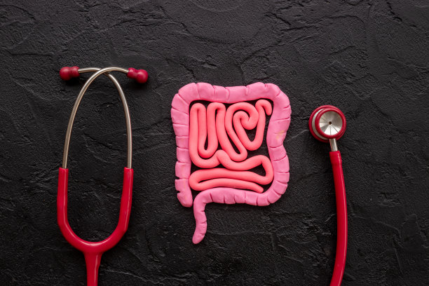 胃或肠结肠器官问题。肠病概念。人体内脏内脏的形状图片下载
