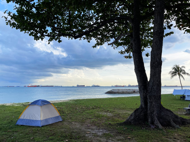 一个人的特写照片，在新加坡东海岸公园海滨露营地的树枝下搭起圆顶帐篷，多云晴朗的蓝天图片下载