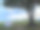 一个人的特写照片，在新加坡东海岸公园海滨露营地的树枝下搭起圆顶帐篷，多云晴朗的蓝天图片下载