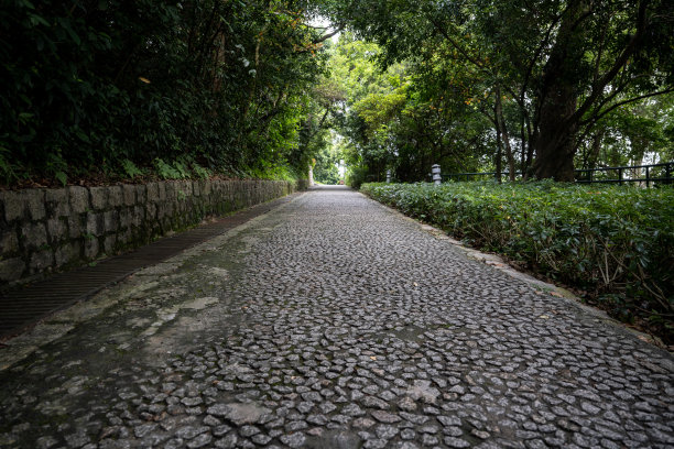 郊野公园的石头人行道图片下载