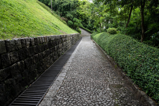 郊野公园的石头人行道图片下载