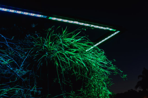 绿色霓虹灯和草地，深色背景的概念摄影。图片下载