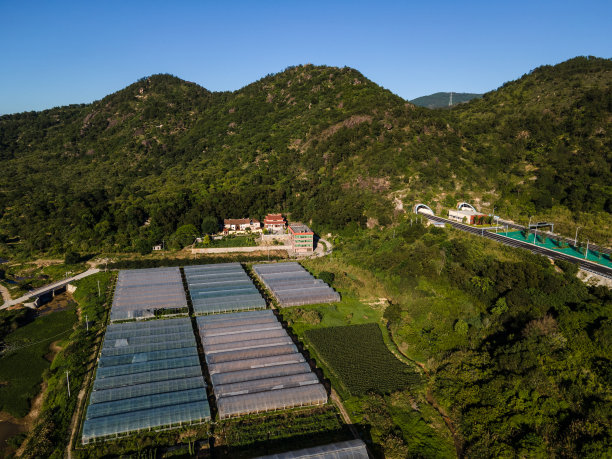 农用蔬菜大棚俯视图图片下载