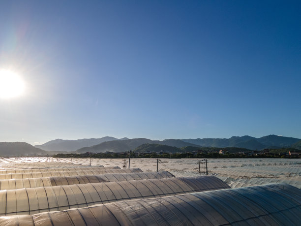 晚霞下的农用蔬菜大棚鸟瞰图图片下载
