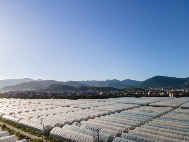 农用蔬菜大棚鸟瞰图图片下载