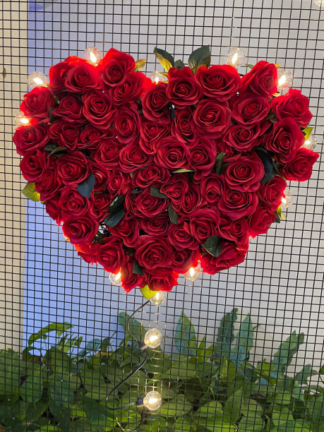 红玫瑰的形象，心形，浪漫的插花与照明串灯，情人节装饰挂在网格背景，重点在前景图片下载