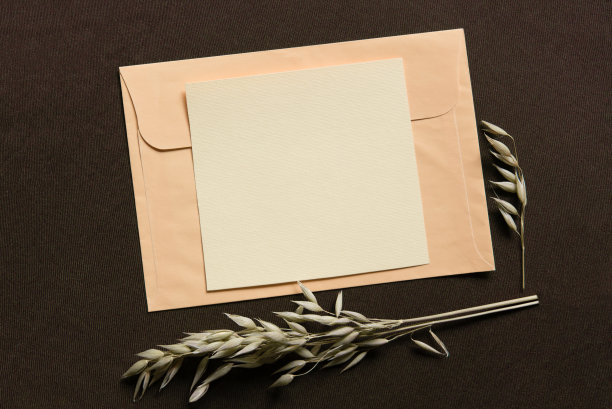 空白贺卡，邀请和信封模型。由干花和树枝制成的最小花框。图片下载