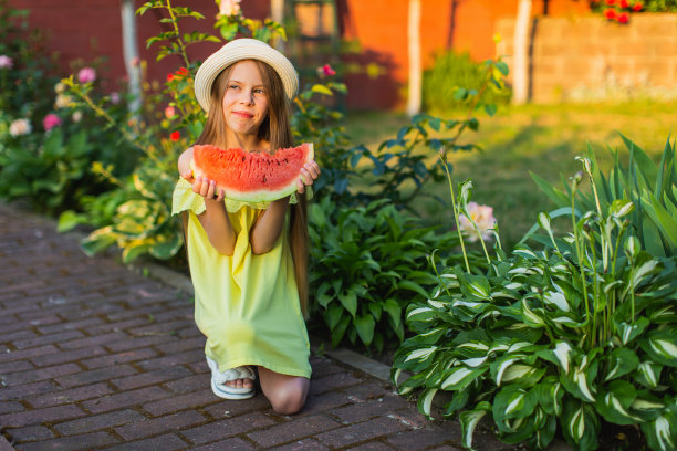快乐的金发女孩穿着黄色的衣服，拿着一块西瓜。夏天的生活方式。的童年。图片下载