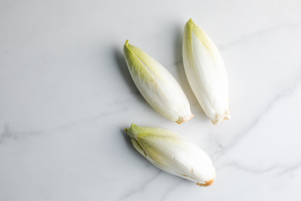 菊苣沙拉孤立在白色背景上图片下载