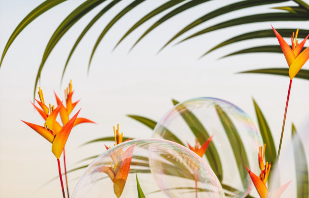 肥皂泡沫与热带植物在傍晚的天空背景。三维渲染图片下载