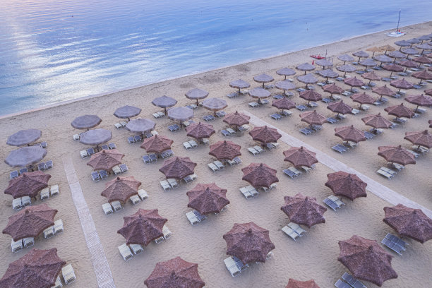 鸟瞰图，空旷的沙滩上有一排排的遮阳伞和日光浴床图片下载