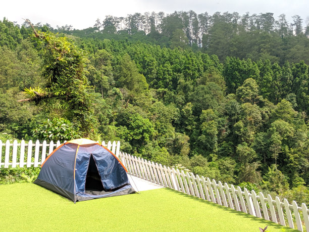 下午森林里的蓝色帐篷图片下载