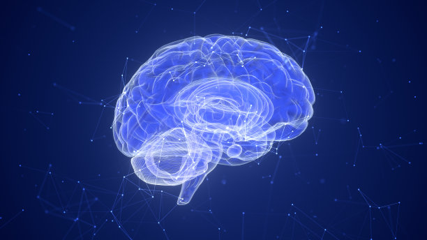 人工智能大脑技术和神经丛图片下载