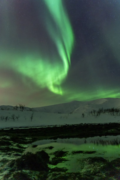 挪威特罗姆瑟的北极光图片下载
