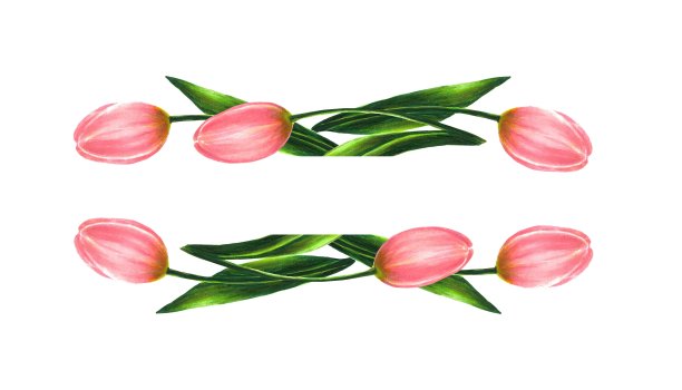 边界框架从粉红色的郁金香和绿叶，手绘标记插图在水彩技术图片下载